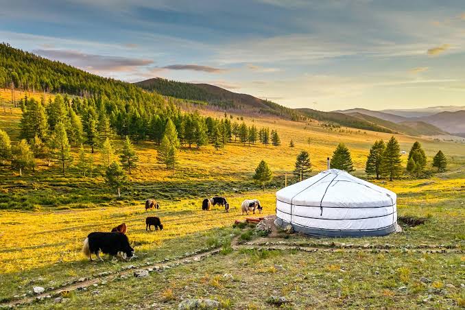 A Trip to Flaming Cliffs of Mongolia