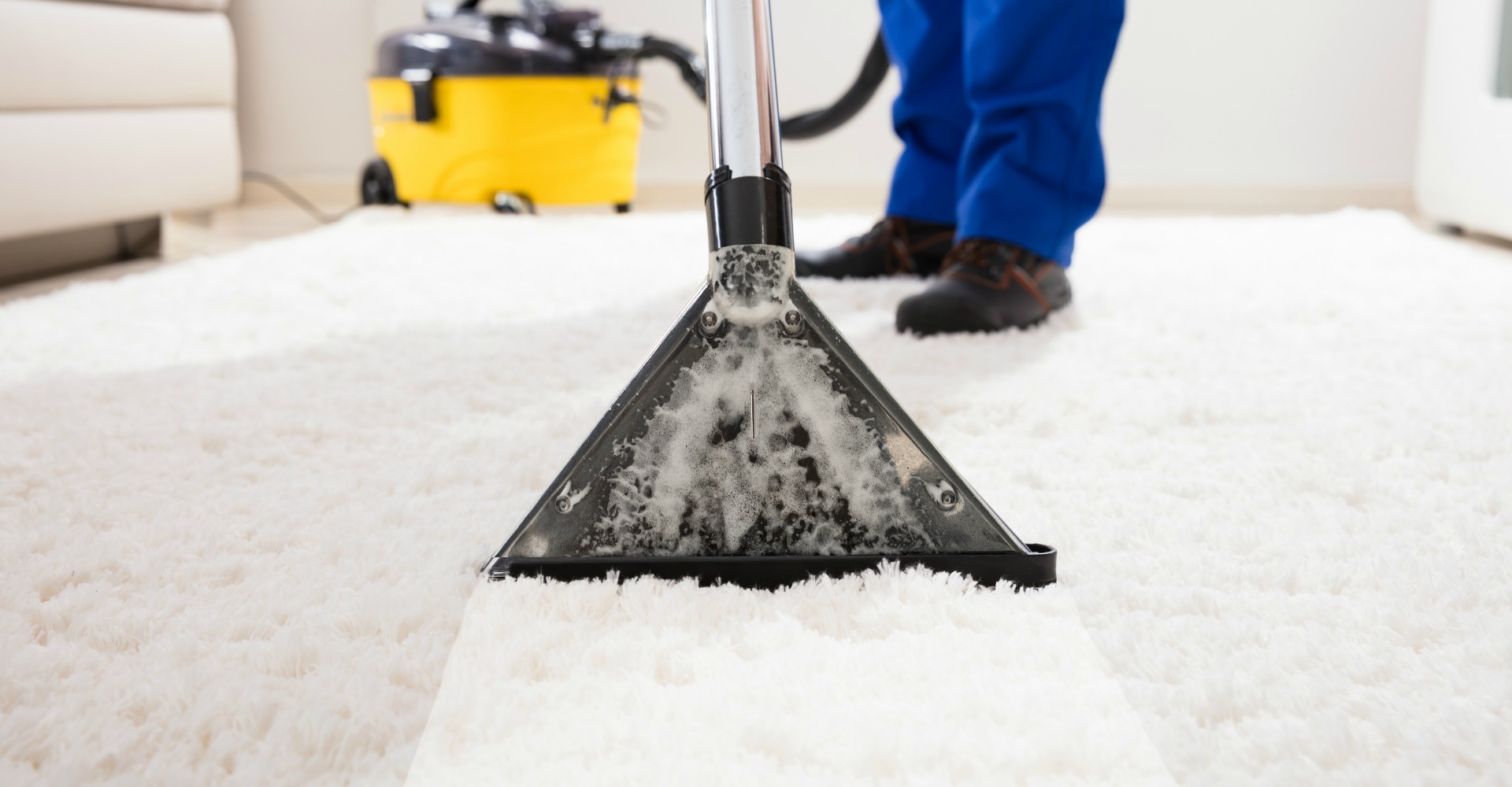 A person using a carpet cleaning powder