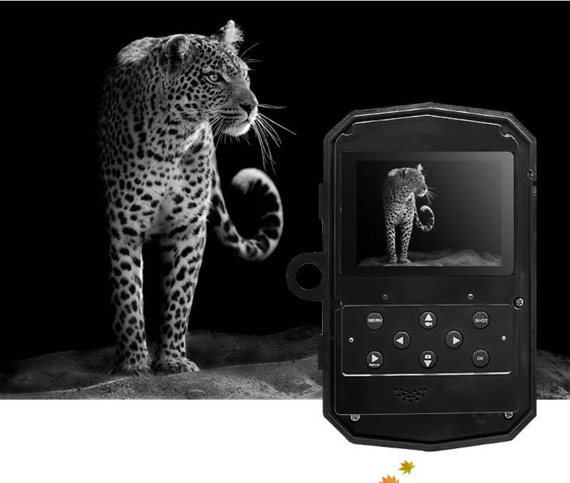 Night-vision Trail camera