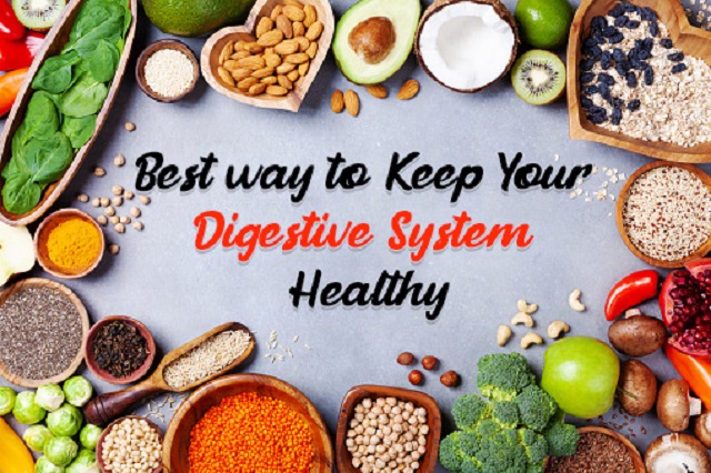 Best way to Keep Your Digestive System Healthy