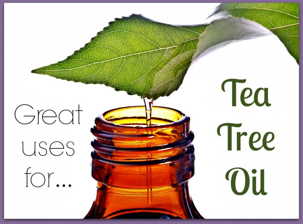 Tea Tree Oil