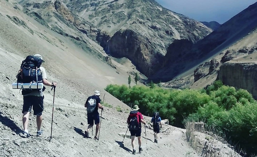 Markha Valley Trek in Ladakh