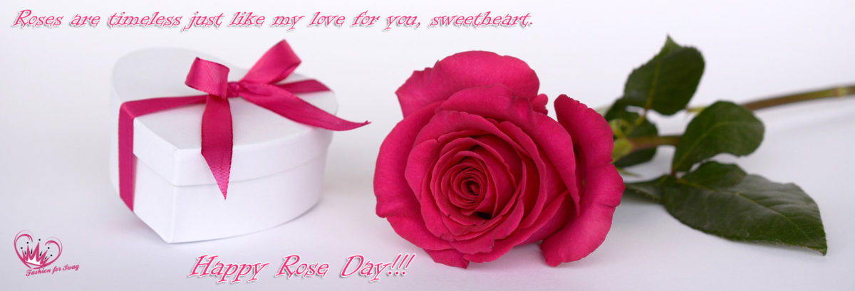 Happy Rose Day22