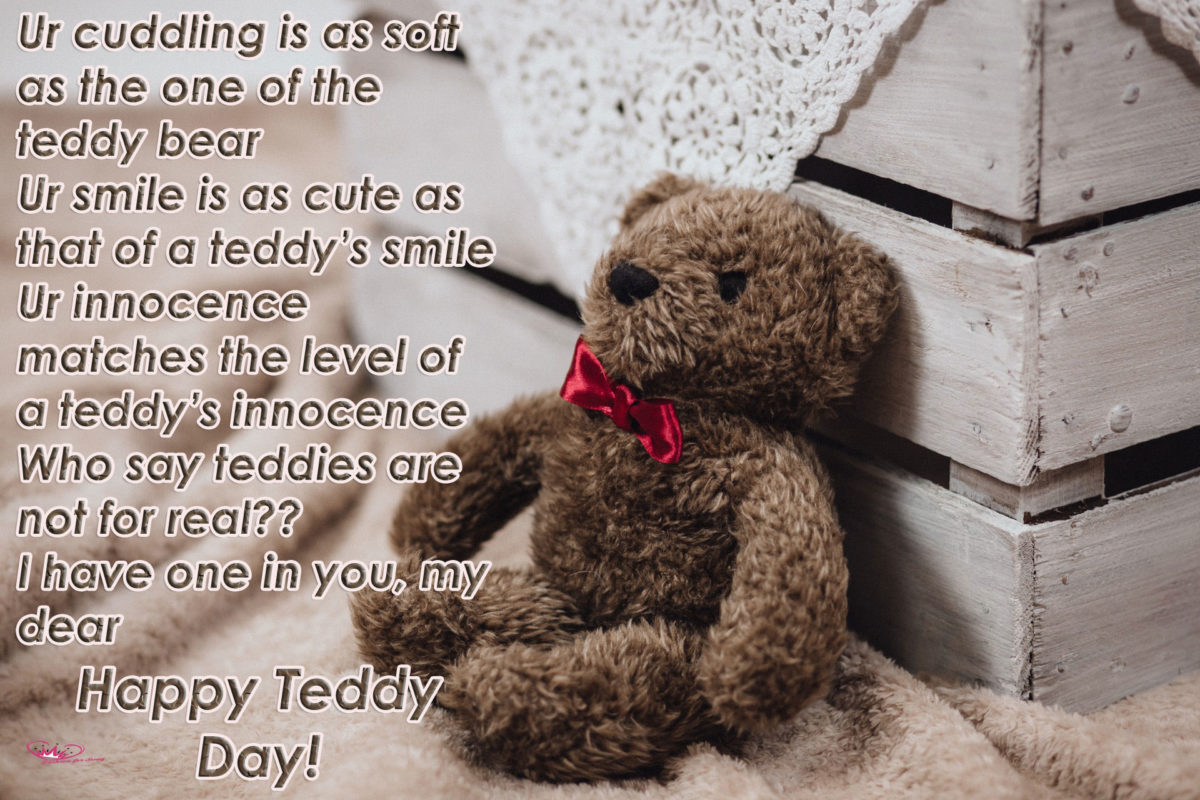 Teddy Day Message