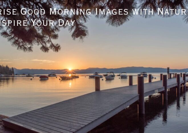 Breathtaking Beginnings: Sunrise Good Morning Images with Nature to Inspire Your Day