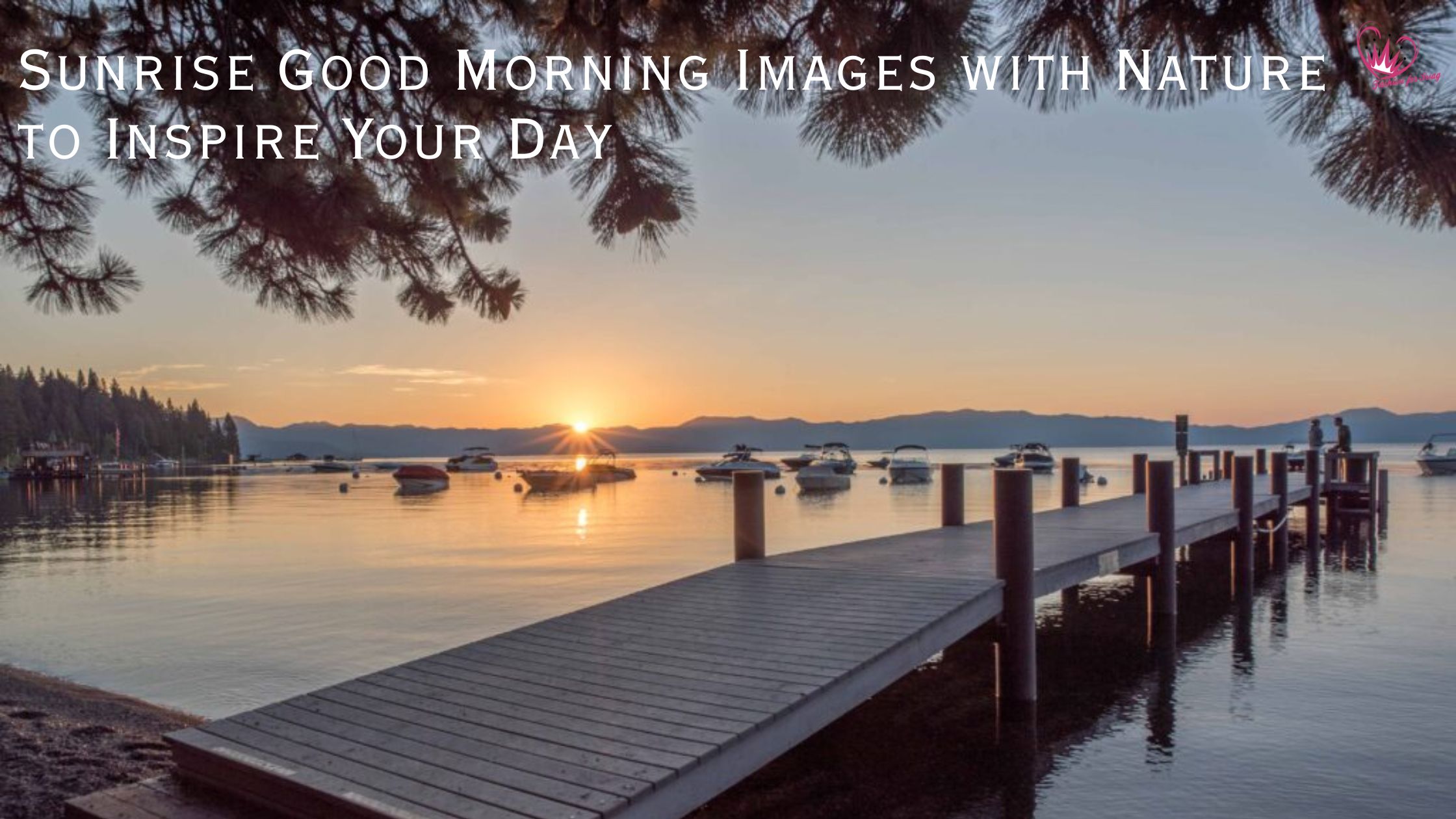 Breathtaking Beginnings: Sunrise Good Morning Images with Nature to Inspire Your Day