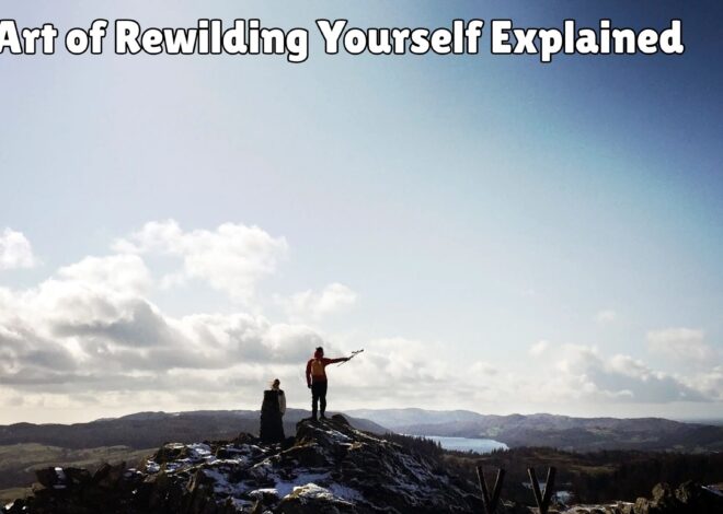 The Art of Rewilding Yourself Explained