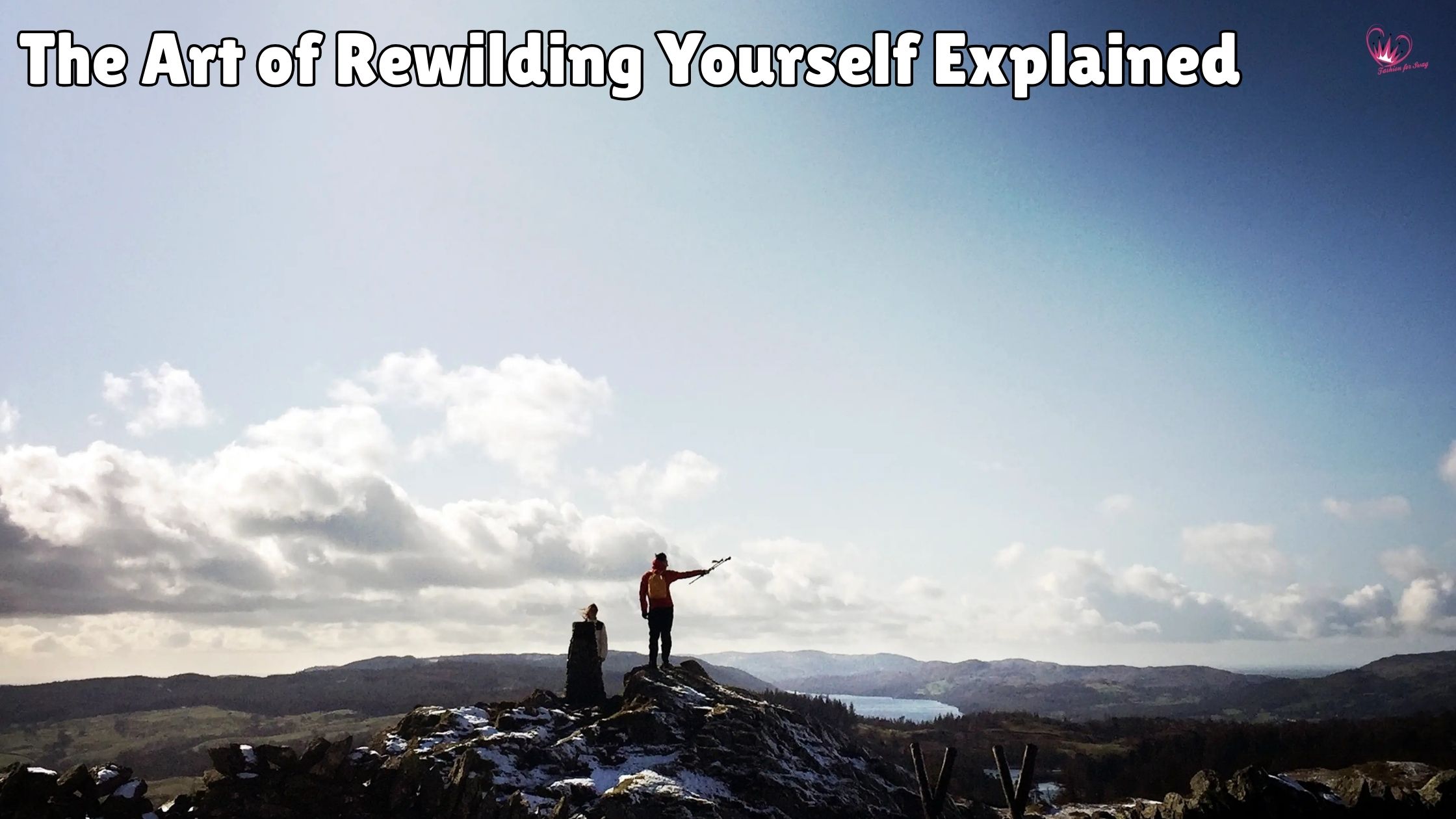 The Art of Rewilding Yourself Explained