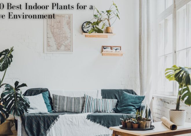 Cultivating Serenity: The 20 Best Indoor Plants for a Positive Environment