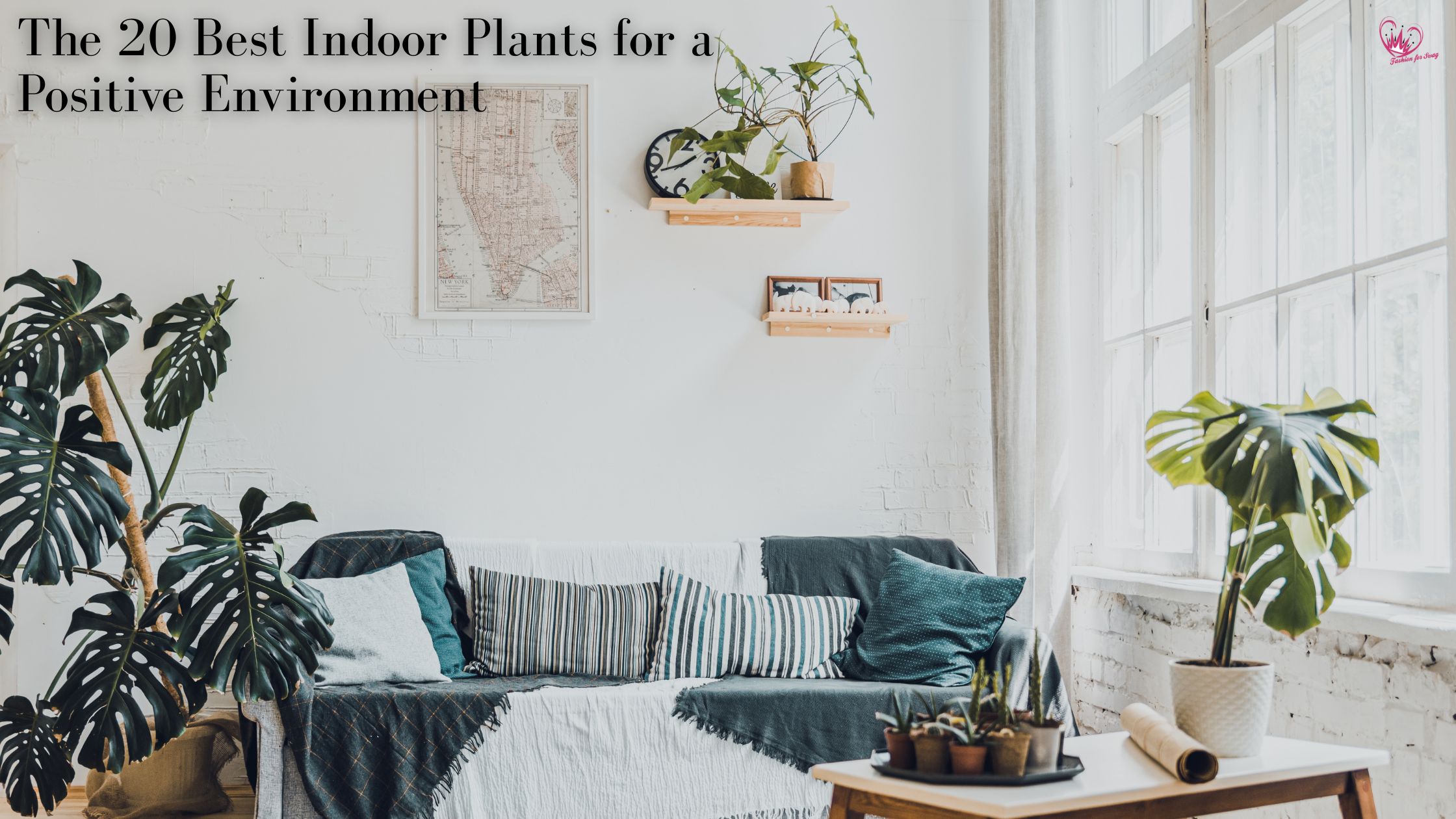 Cultivating Serenity: The 20 Best Indoor Plants for a Positive Environment