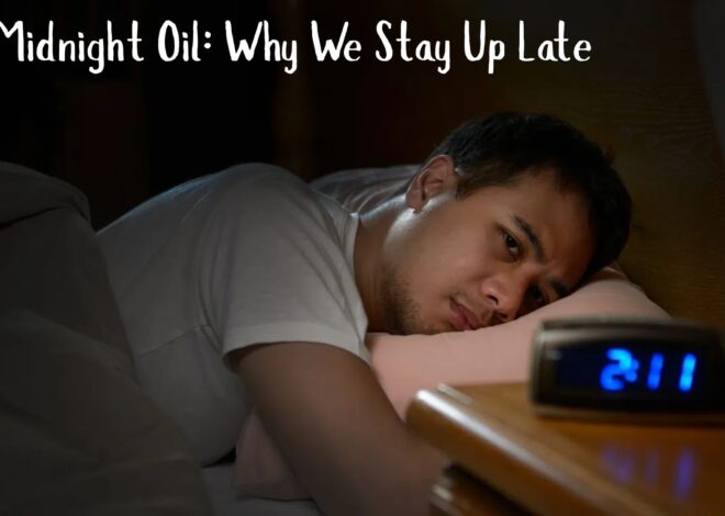 The Midnight Oil: Why We Stay Up Late