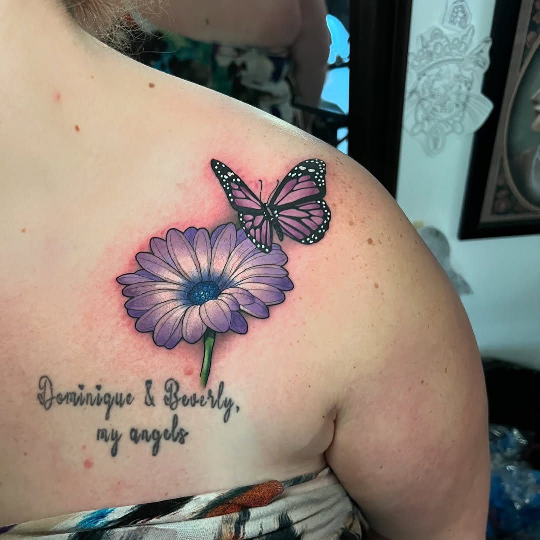 Daisy and a butterfly