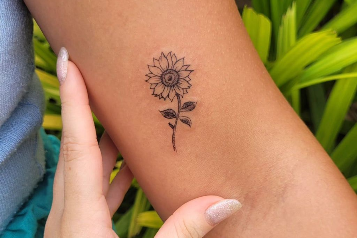 Daisy with Tarot Symbol