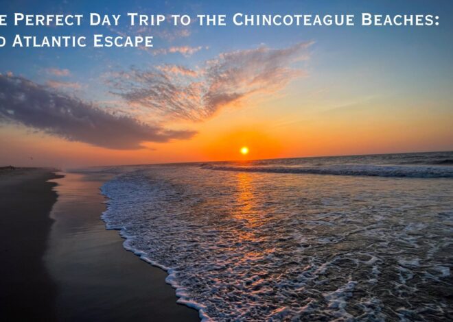 🐴 The Perfect Day Trip to the Chincoteague Beaches: A Wild Atlantic Escape