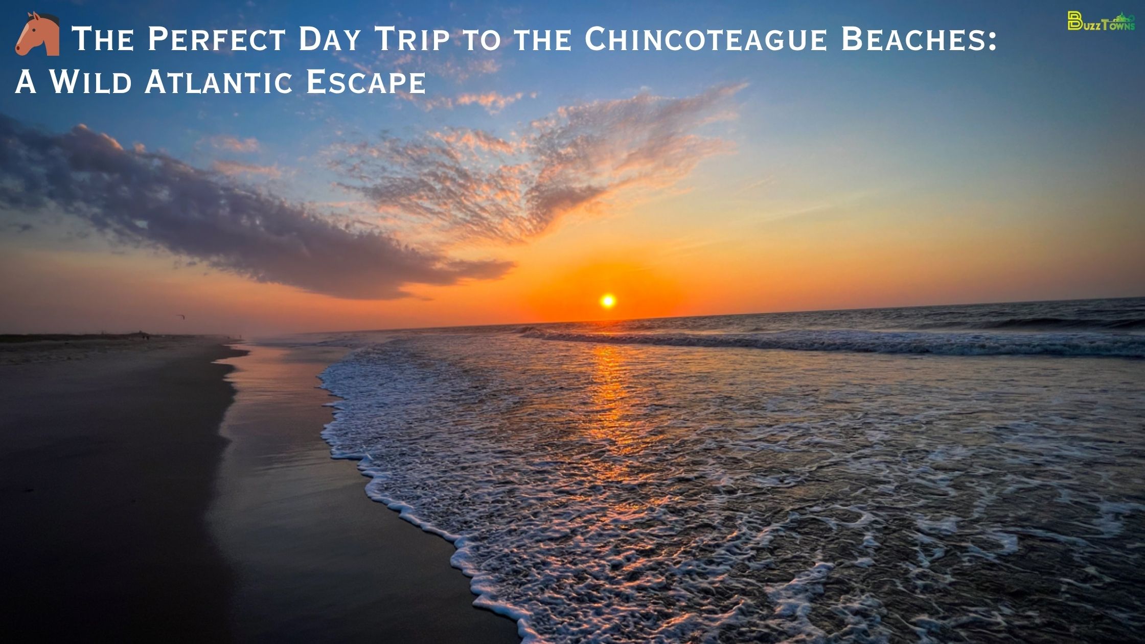🐴 The Perfect Day Trip to the Chincoteague Beaches: A Wild Atlantic Escape